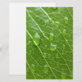 Papeterie Green leaf (Devant / Derrière)