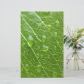 Papeterie Green leaf (Debout devant)