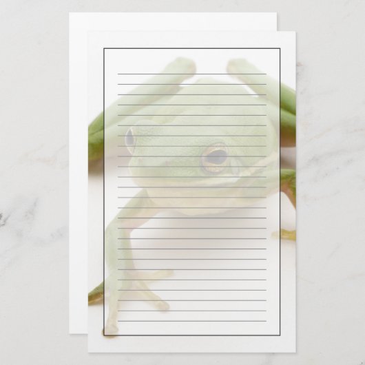 Papeterie Grenouille d'arbre verte (Devant / Derrière)