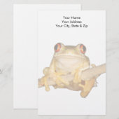 Papeterie Grenouille des arbres (Devant / Derrière)
