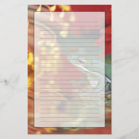 Papeterie Grenouille et réflexions parmi les fleurs. Crédit  (Devant)