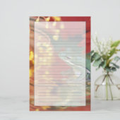 Papeterie Grenouille et réflexions parmi les fleurs. Crédit  (Debout devant)