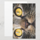 Papeterie Gros plan de chat avec Yellow Eyes (Devant / Derrière)