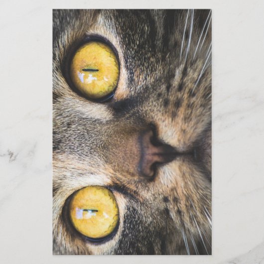 Papeterie Gros plan de chat avec Yellow Eyes (Devant)