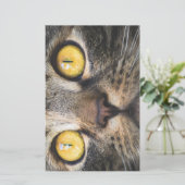 Papeterie Gros plan de chat avec Yellow Eyes (Debout devant)