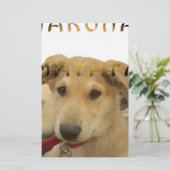 Papeterie Hakuna Matata Je sais ce que vous pensez pinctur (Debout devant)