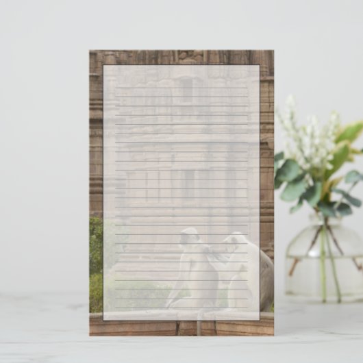 Papeterie Hanuman Langurs ou noir, commun ou gris (Debout devant)