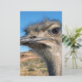 Papeterie Harry the Happy Ostrich (Debout devant)