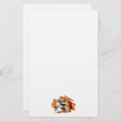 PAPETERIE HAWK (Devant / Derrière)