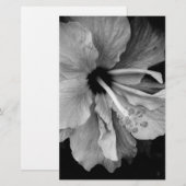 Papeterie Hibiscus (Devant / Derrière)