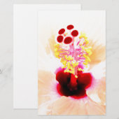 Papeterie Hibiscus rose (Devant / Derrière)