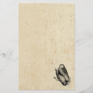 Papeterie Hibou vintage