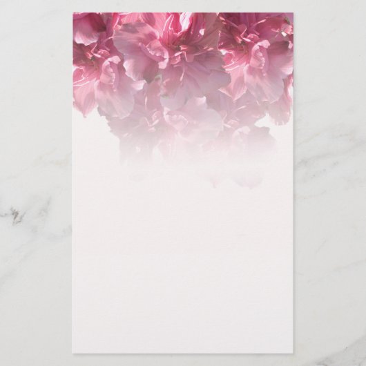 Papeterie Hollyhock (Devant)