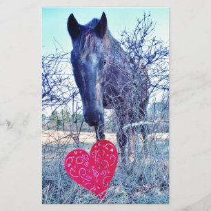 Papeterie Horse et heart