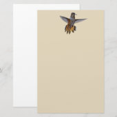 PAPETERIE HUMMINGBIRD (Devant / Derrière)