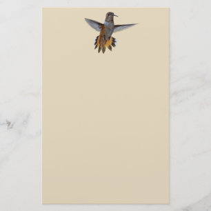 PAPETERIE HUMMINGBIRD