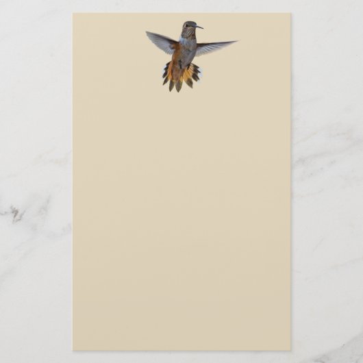 PAPETERIE HUMMINGBIRD (Devant)