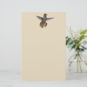 PAPETERIE HUMMINGBIRD (Debout devant)
