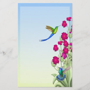 Papeterie Hummingbirds tropicaux exotiques stationnaires