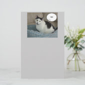 Papeterie Humour Holla Cat (Debout devant)