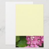Papeterie Hydrangeas roses (Devant / Derrière)