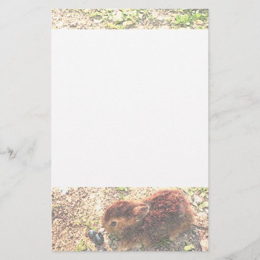 Papeterie I LAPINS DE LUV ! Mignon (Devant)