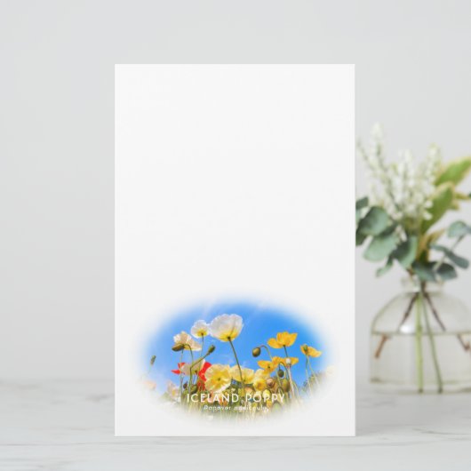 Papeterie Iceland Poppy (Debout devant)
