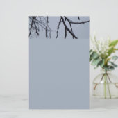 Papeterie Icy Branches Winter Nature Photographie (Debout devant)