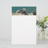 Papeterie Iguana à St Thomas (Debout devant)