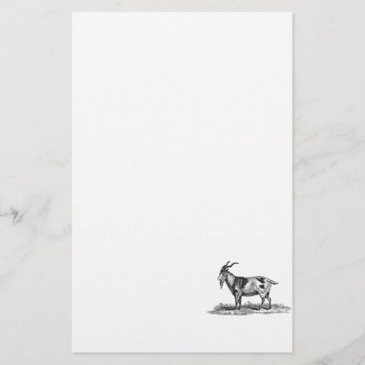 Papeterie Illustration vintage de chèvre domestique - (Devant)