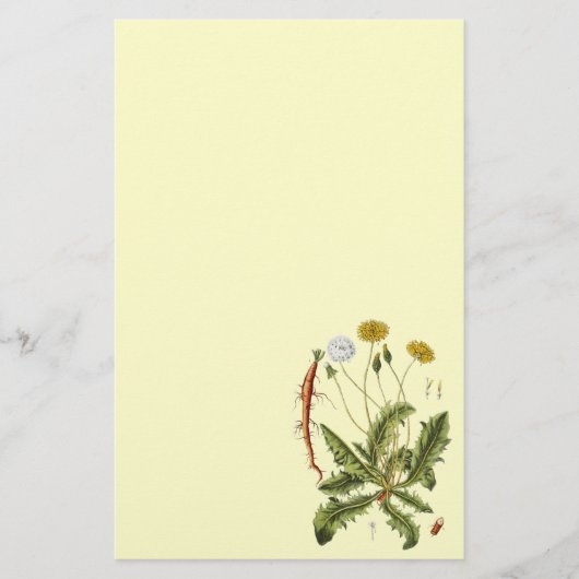 Papeterie Illustration vintage du Dandelion (Devant)