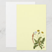 Papeterie Illustration vintage du Dandelion (Devant / Derrière)