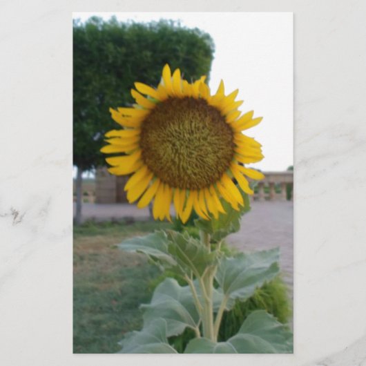 Papeterie Impression d'art Tournesol (Devant)