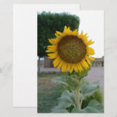 Papeterie Impression d'art Tournesol (Devant / Derrière)