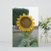 Papeterie Impression d'art Tournesol (Debout devant)