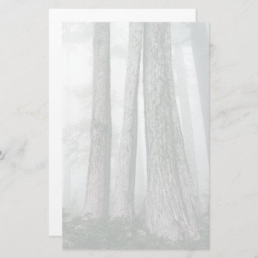 Papeterie Invoquer la forêt (Devant / Derrière)