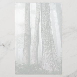 Papeterie Invoquer la forêt