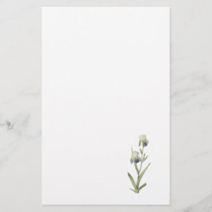 Papeterie iris Aîné-parfumé (sambucina d'iris) par Redouté