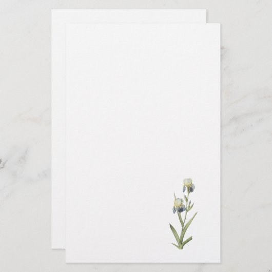 Papeterie iris Aîné-parfumé (sambucina d'iris) par Redouté (Devant / Derrière)