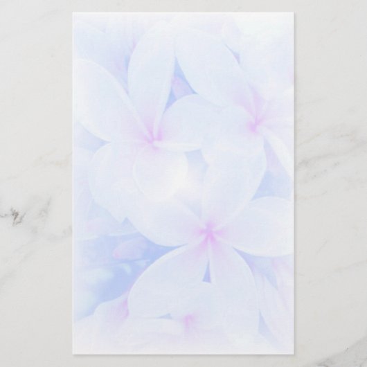 Papeterie Jardin de natures (Devant)