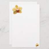 Papeterie jaune simple d'orchidée (Devant / Derrière)