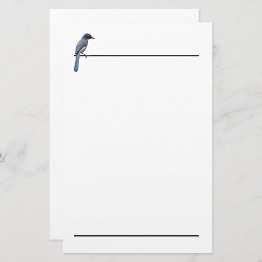 Papeterie - Jay bleu (Devant / Derrière)