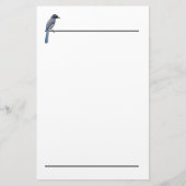 Papeterie - Jay bleu (Devant)