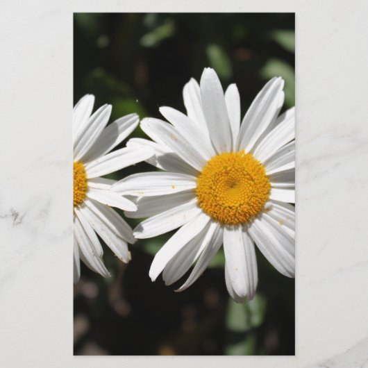 Papeterie Joli blanc fleur marguerite (Devant)