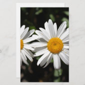 Papeterie Joli blanc fleur marguerite (Devant / Derrière)