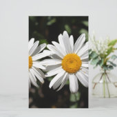 Papeterie Joli blanc fleur marguerite (Debout devant)