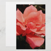 Papeterie Joli rose rose Peach floral (Devant / Derrière)