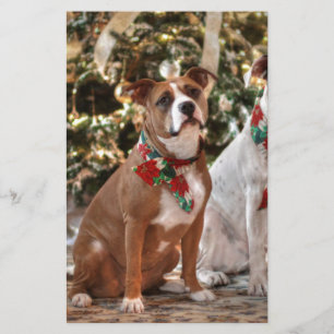 Papeterie Joli Secourt de Noël Pitbull et America Bull Dog