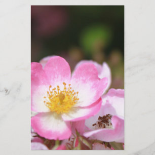 Papeterie jolies fleurs de rose sauvage rose pour les dames