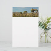 Papeterie Joshua Tree National Park Paysage du désert (Debout devant)